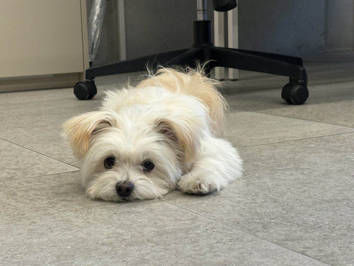 부숭...부숭숭..