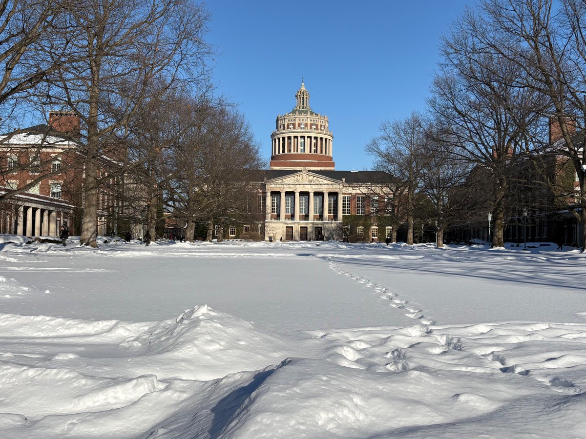 MarcosLab_UR tweet media