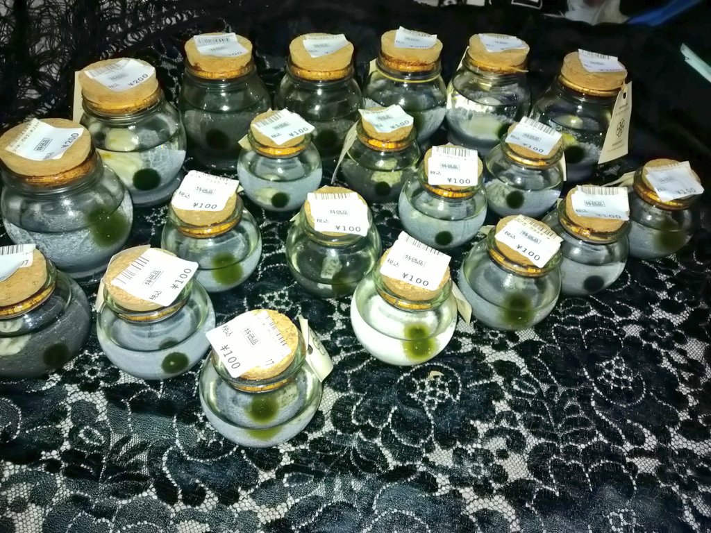 マリモ 大家族増えました。 🟢22（2個入れた瓶1） 大家族となりますが