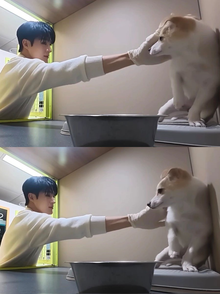 ม่ายต้องกลัวน้า (.◜◡◝)🫳🏻🐶