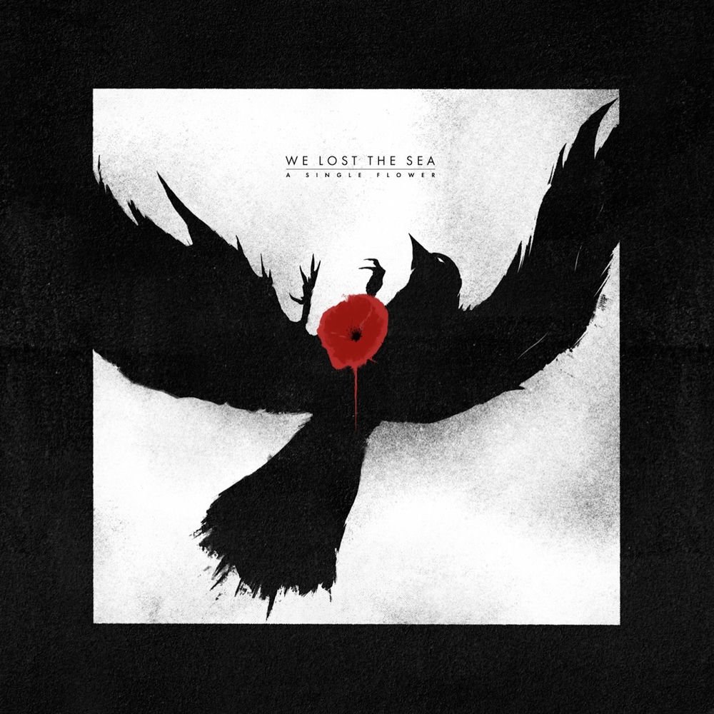 fandiisme's tweet photo. Weh album hari ini We Lost The Sea - A Single Flower (2025) https://t.co/vLloYrS1hA