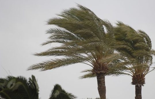 La Junta activa la situación operativa 0 del  Plan Territorial de Protección Civil con alertas por lluvia y viento en  las próximas horas costadulcefm.es/la-junta-activ…