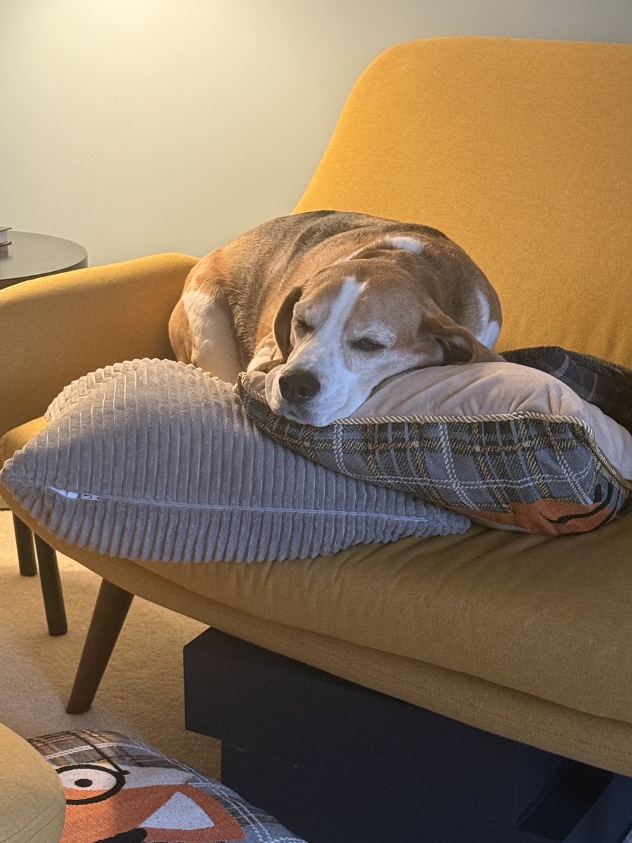 Neil Broadfoot tweet media