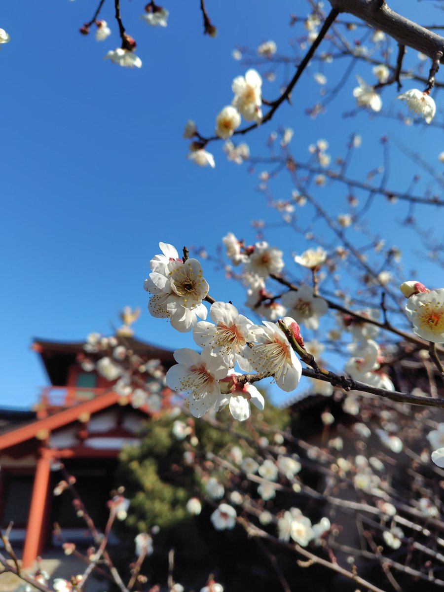 1308mori's tweet photo. 東院庭園、良かった…。なんで今まで行かなかったのか。 https://t.co/Jgcg6ce0hW