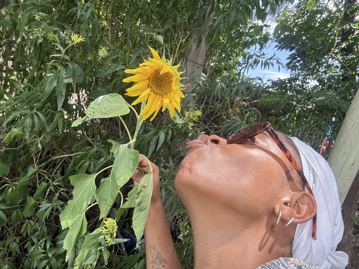 Look at the baby sunflooooowweerrrr