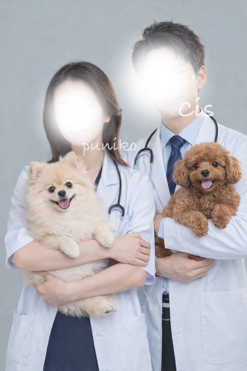 ぷにしす🫧🎩 tweet media