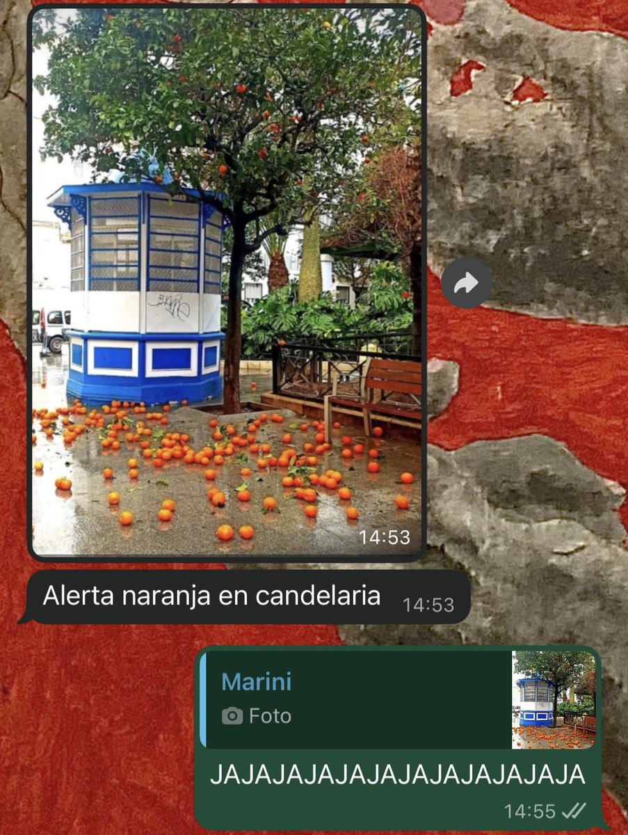 mi mare señoras y señores