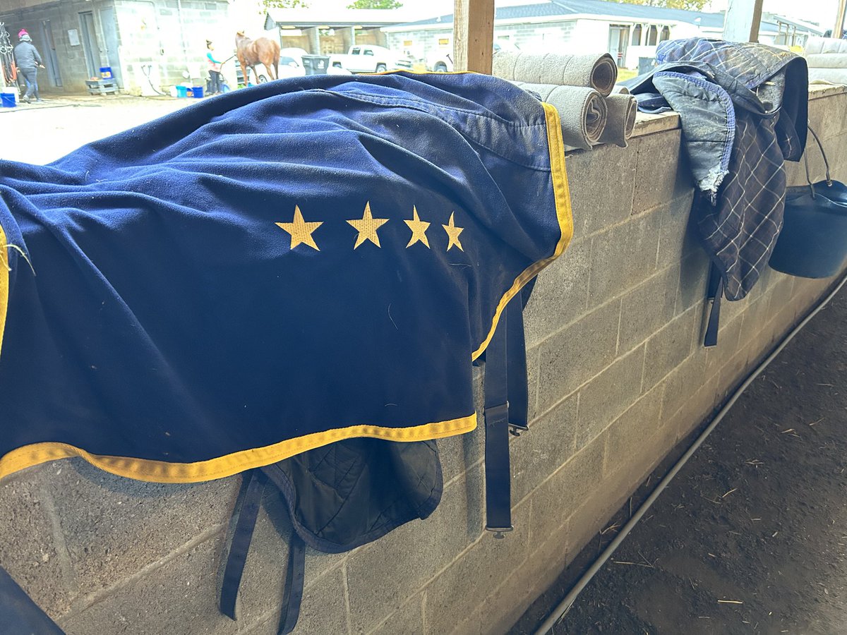 Space seeks his fifth career win for owner <a href="/HorseBlogger/">Roger Snow</a> Roger Snow. The 6-year-old gelding by Ghostzapper is entered by <a href="/granttforster/">Grant T. Forster</a> in the 8th race <a href="/fairgroundsnola/">Fair Grounds Race Course & Slots</a> on Friday, 2-6. <a href="/James_D_Graham/">James Graham</a> is in the saddle and will break from post 6.