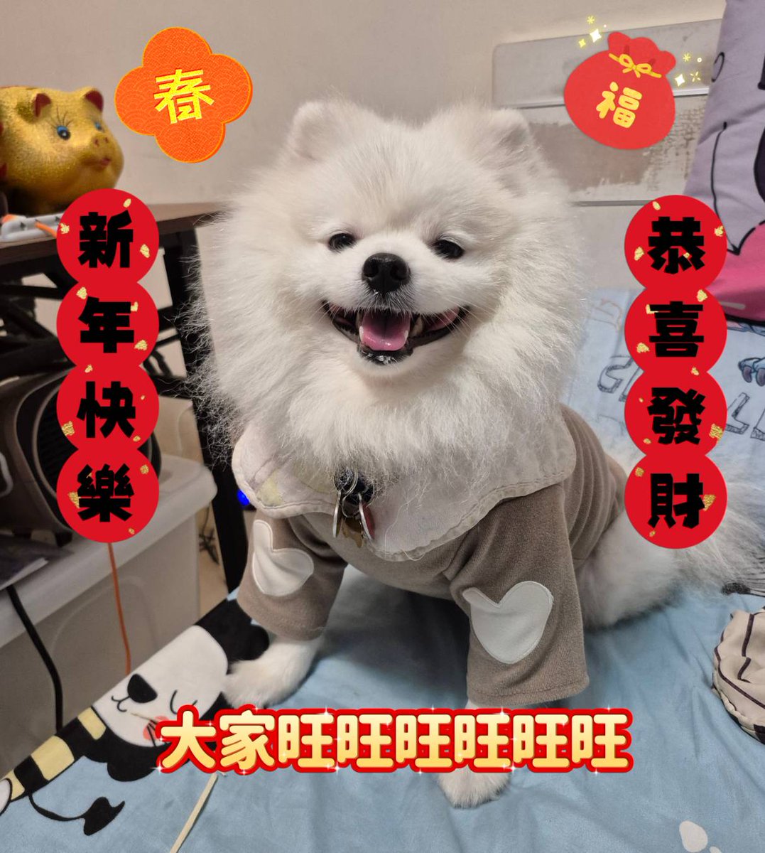 girl844159's tweet photo. 明天是圓圓3歲生日
也祝大家身體健康，心想事成
我陪伴媽媽3年了🥰🥰🥰
#3歲生日 https://t.co/g6KB8FXjJb