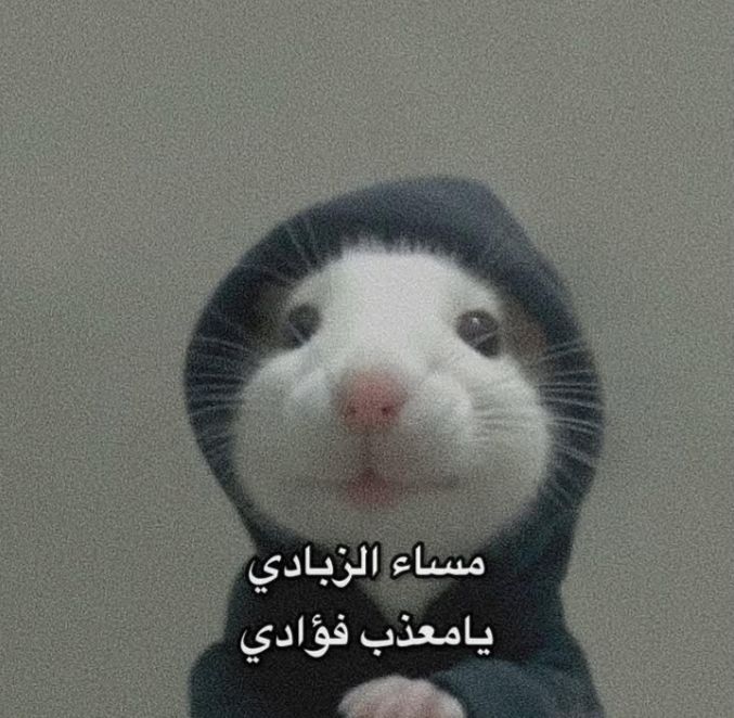 🇩🇿𝑻𝒂𝒔𝒏𝒊𝒎𝒆 💚 tweet media