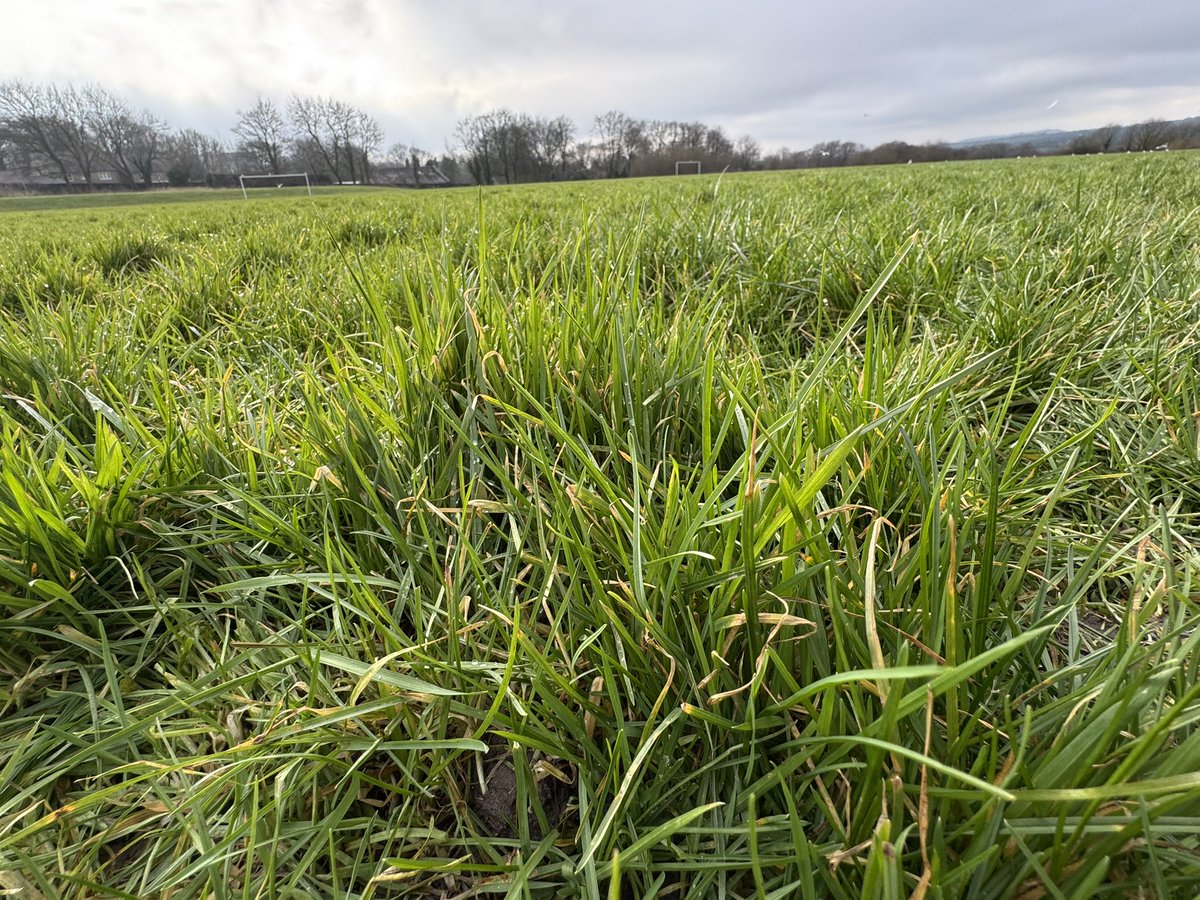 David Horrocks tweet media