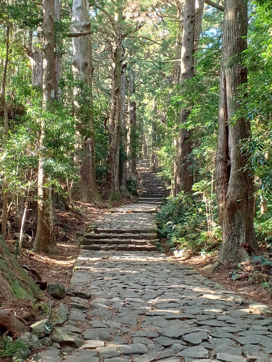 オオノ マコト tweet media