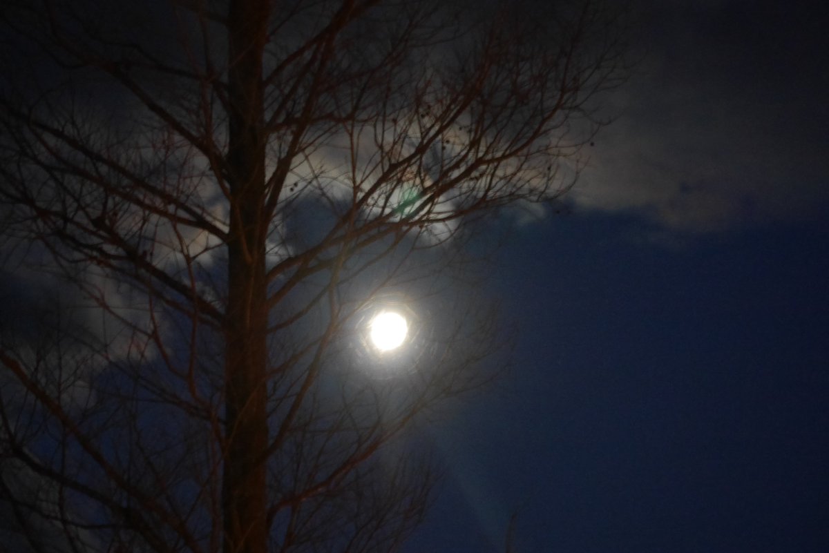 明け方… まもなく西の山間の月が落ちます…
塩カルで汚れたフロントガラスを通した月明り…
#Lumix GX7