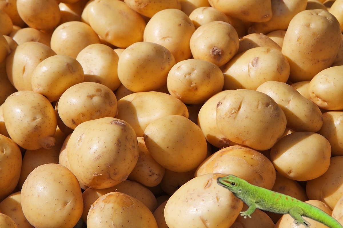 스포없는 7.4 멘퀘 후기 짤