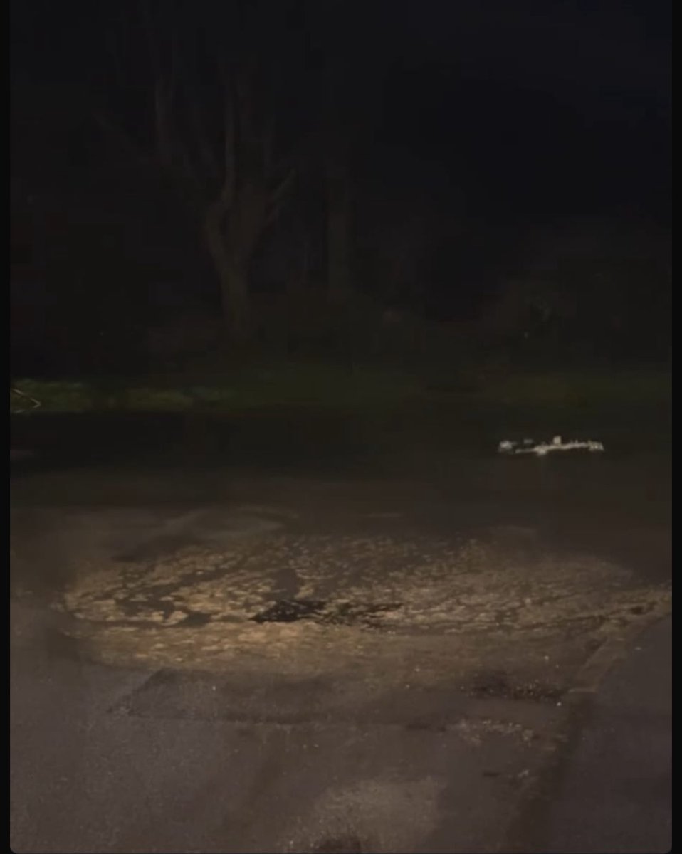 Andy Snapes FRSA 🇺🇦 tweet media