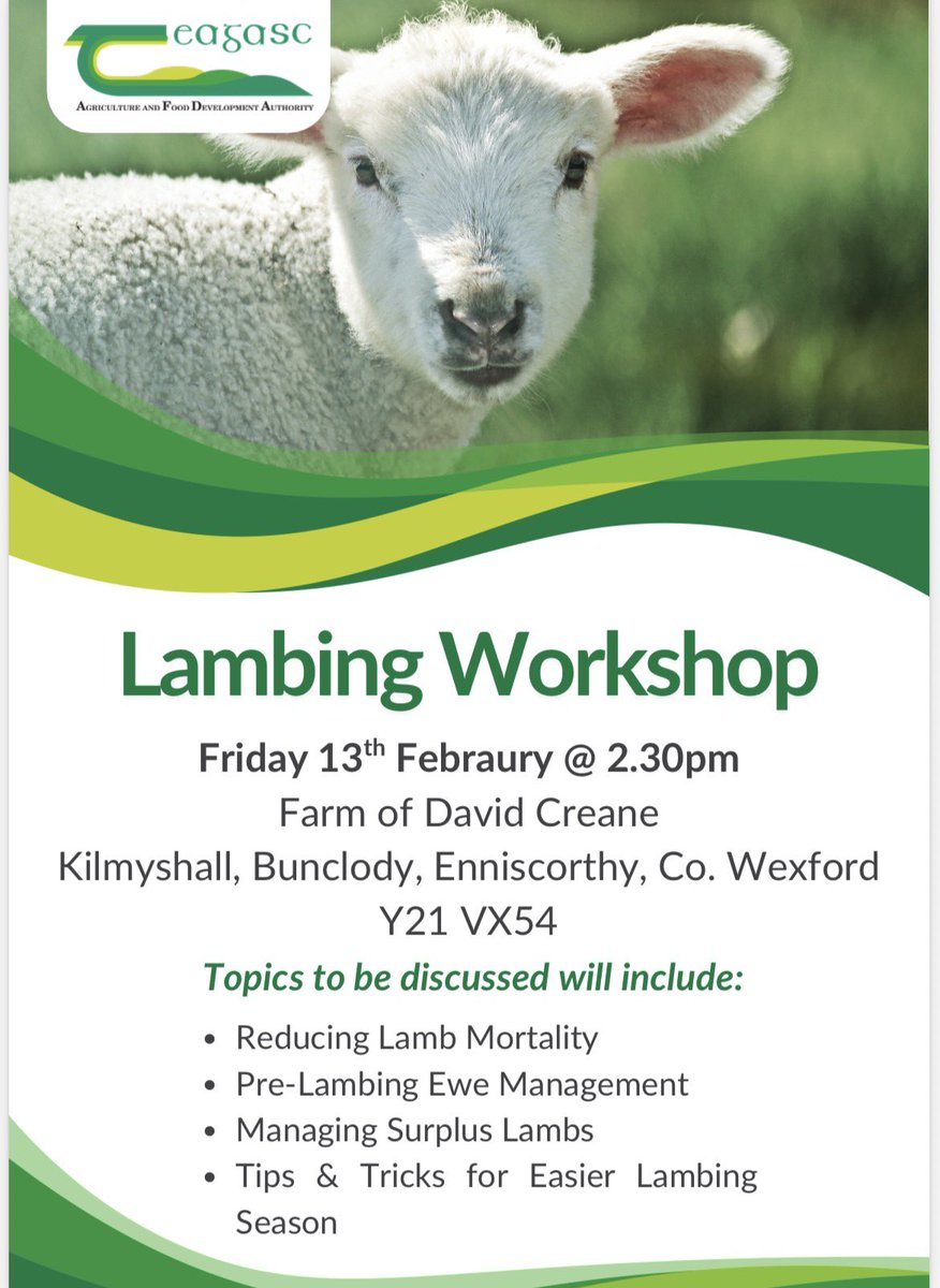 TeagascWWC's tweet photo. 🐑🐑🐑Sheep Farmers! 🐑🐑🐑

Losses at lambing time can range from 8% to 20% which can have a massive impact on profitability 💶💶

Get to one of our interactive Lambing workshops in Tinahely &amp; Bunclody where Teagasc Sheep Specialists &amp; Advisers will demonstrate best practice https://t.co/ELcrsK8nZA
