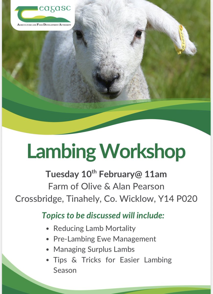 TeagascWWC's tweet photo. 🐑🐑🐑Sheep Farmers! 🐑🐑🐑

Losses at lambing time can range from 8% to 20% which can have a massive impact on profitability 💶💶

Get to one of our interactive Lambing workshops in Tinahely &amp; Bunclody where Teagasc Sheep Specialists &amp; Advisers will demonstrate best practice https://t.co/ELcrsK8nZA