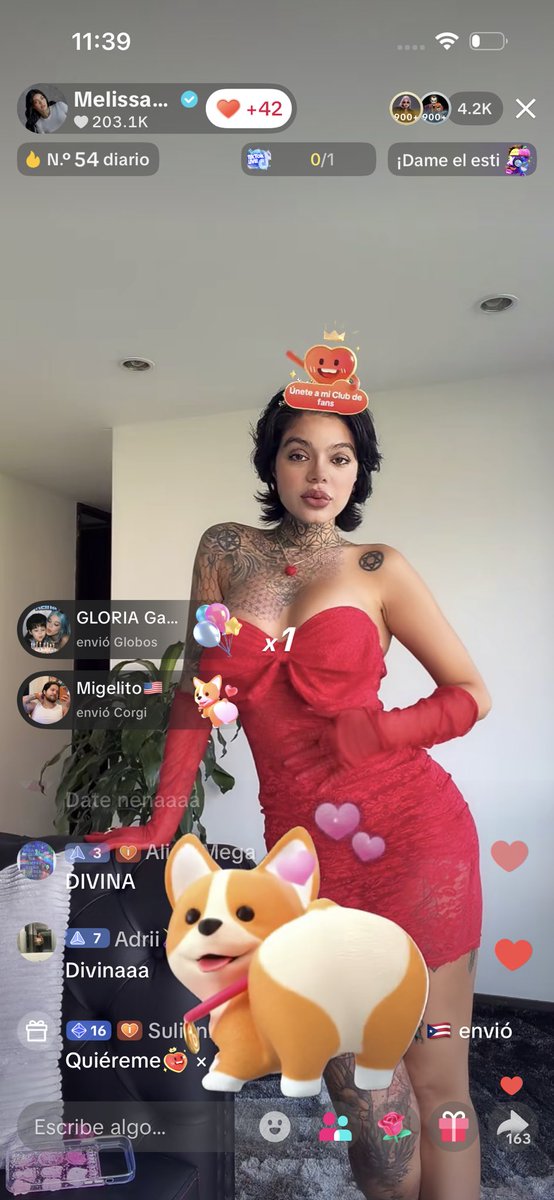 liinoficial's tweet photo. Nena que bella estás @meligate_ te mereces todo lo bello del mundo 

FELIZ CUMPLEAÑOS MELIGATE Dios te bendiga siempre 

#NoTeInforma 
#MelissaGate 
#PandillaGateX https://t.co/9C5JOxH67N