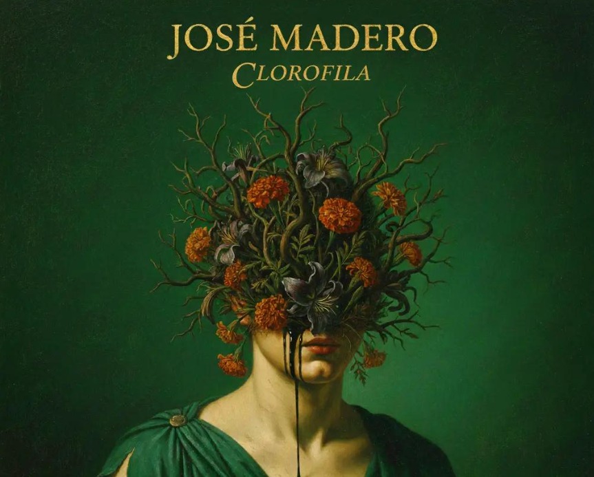 Maderistas tweet media