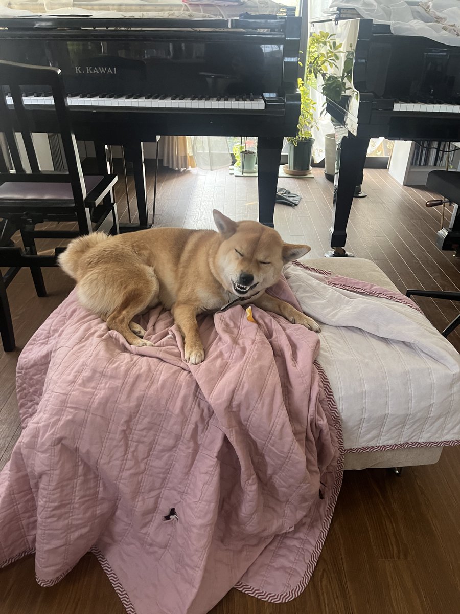 🌞 (@poprisun) on Twitter photo 