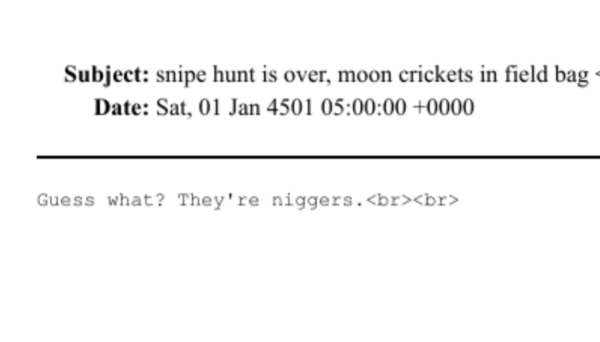 QuantumAlteredX's tweet image. 🚨🚨🚨Hunting of black people in the files

From the Epstein emails

No sender, receiver, or date left on the file.

"Snipe hunt is over, moon crickets in field bag"

"Guess what?  They're niggers"