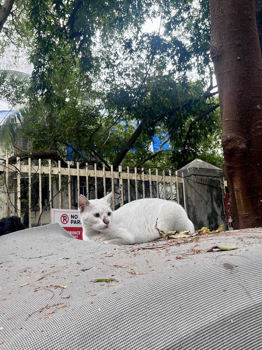 Shrushti Ahirrao tweet media