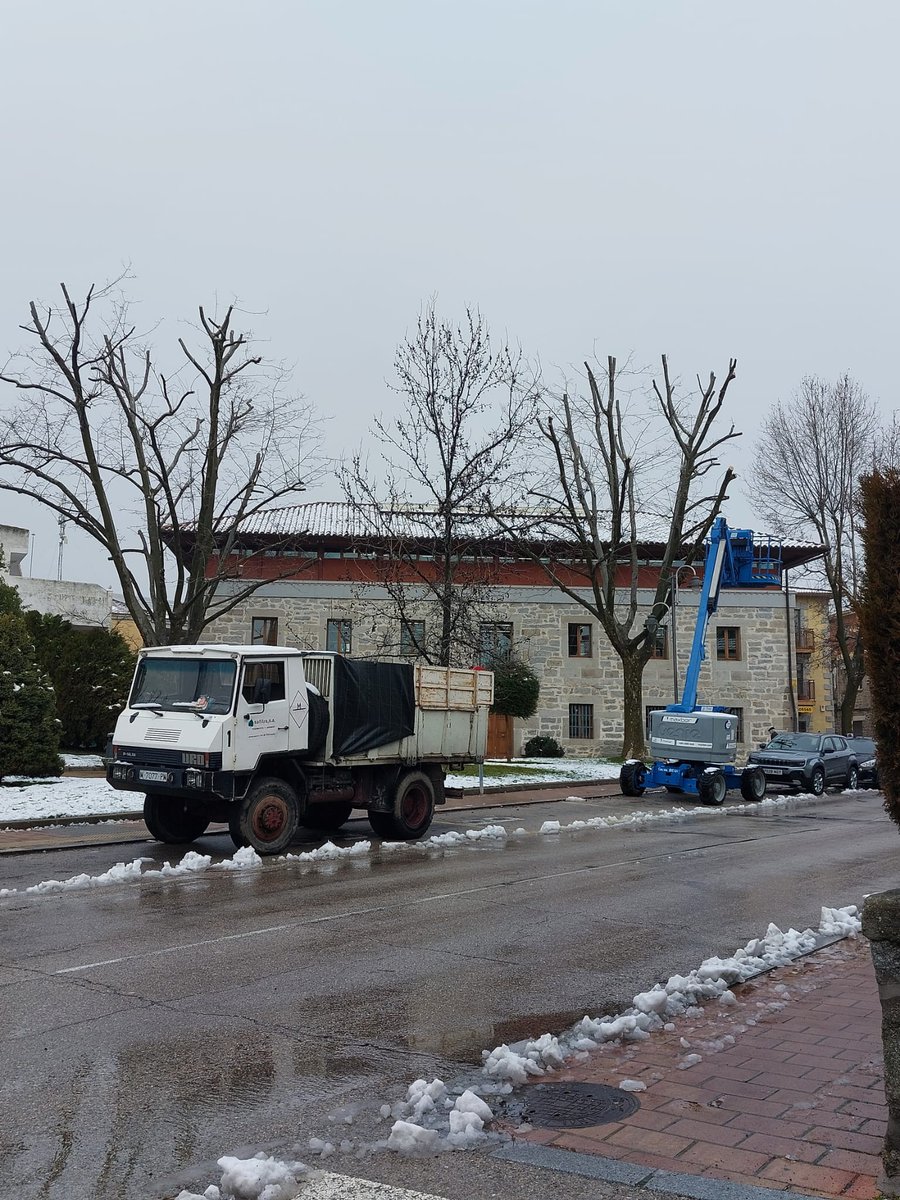 🌳  ¡Al arbolado de la biblioteca no le hacía falta ninguna poda! Dejen de tirar el dinero en podas absurdas y arreglen el pueblo que se cae a trozos. Han mutilado sin ningún sentido 1.000 árboles. Disparate ambiental y económico.
