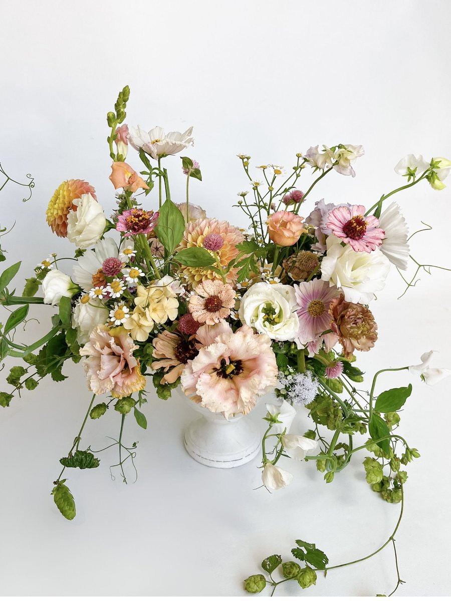 Colleen Zacharias tweet media