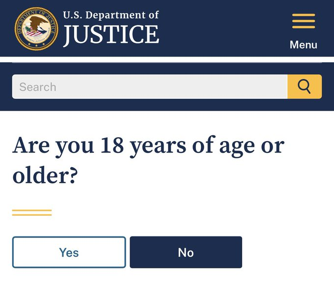 ImBreckWorsham's tweet photo. The DOJ asks if you're over 18 before you can view the Epstein files. 

The irony. https://t.co/ZLJcdqZjCj
