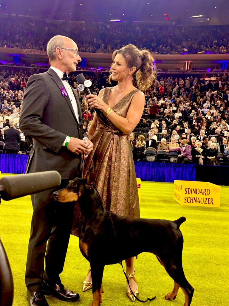JamieLittleTV's tweet photo. There she is….
Penny is Best in Show!

Was she your pick? https://t.co/dTNu4igZem