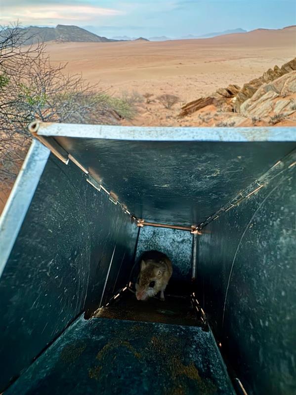 African Parks tweet media