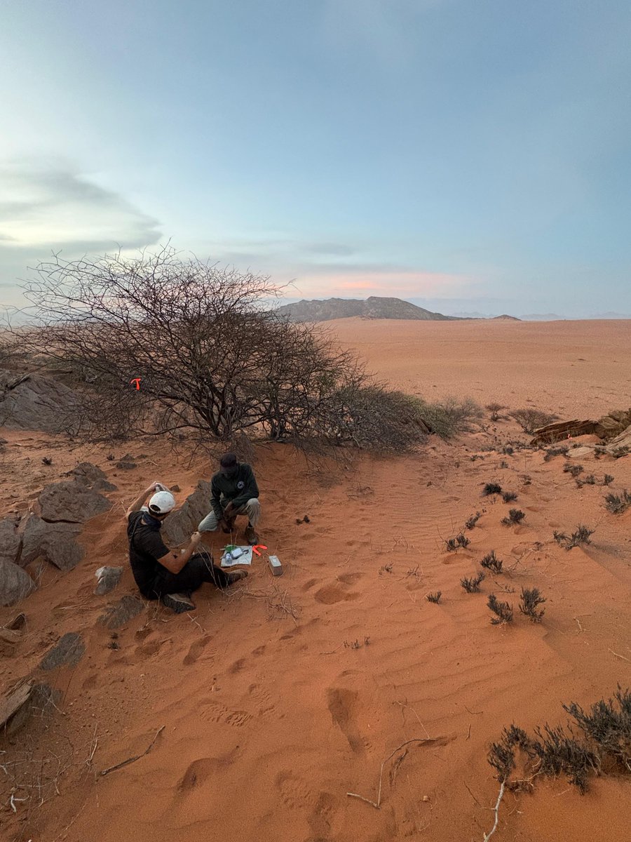 African Parks tweet media