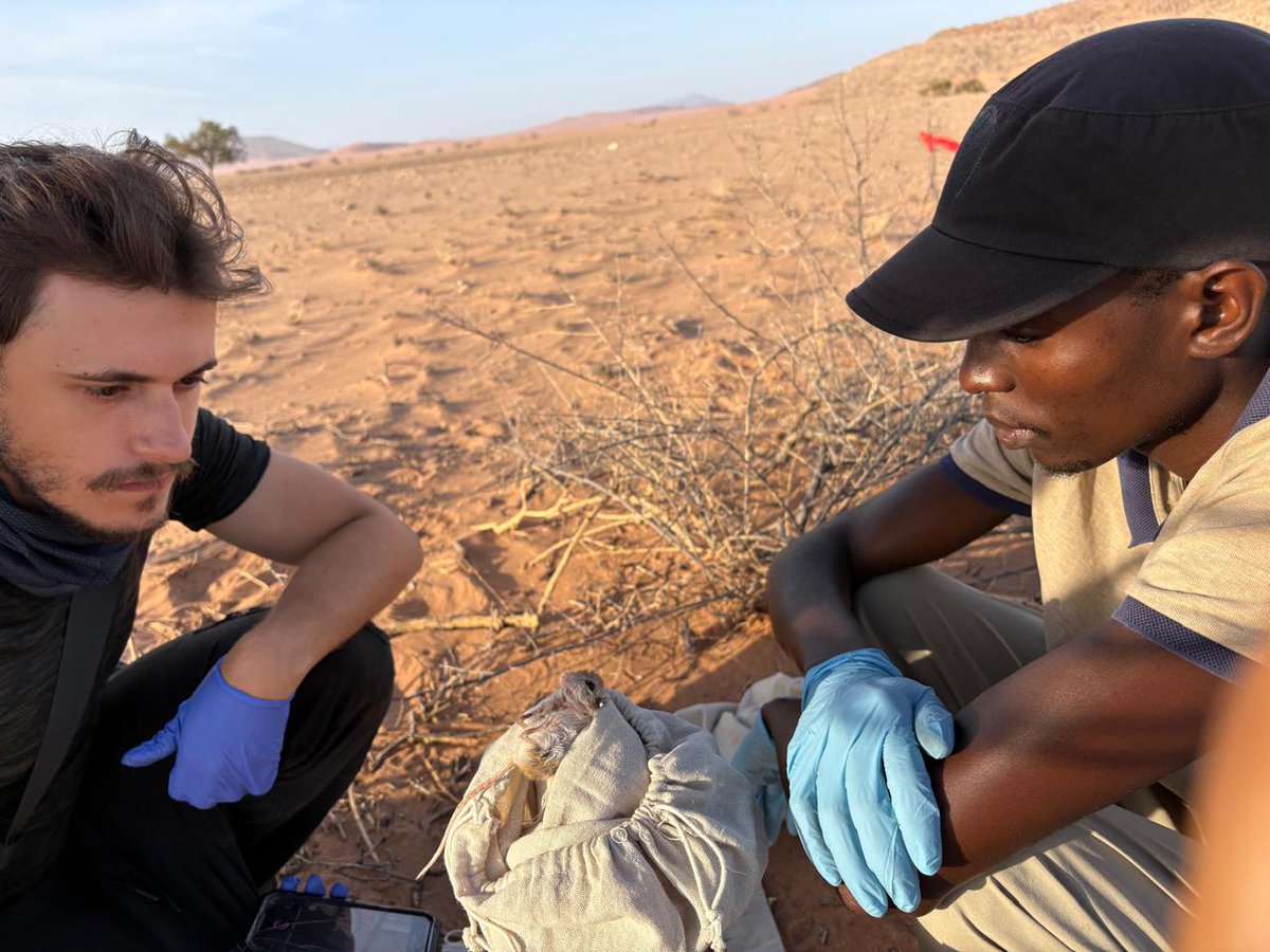 African Parks tweet media