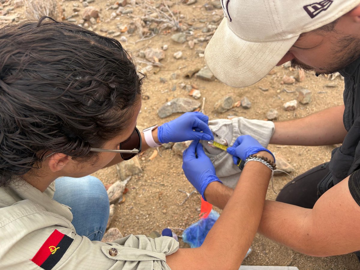 African Parks tweet media