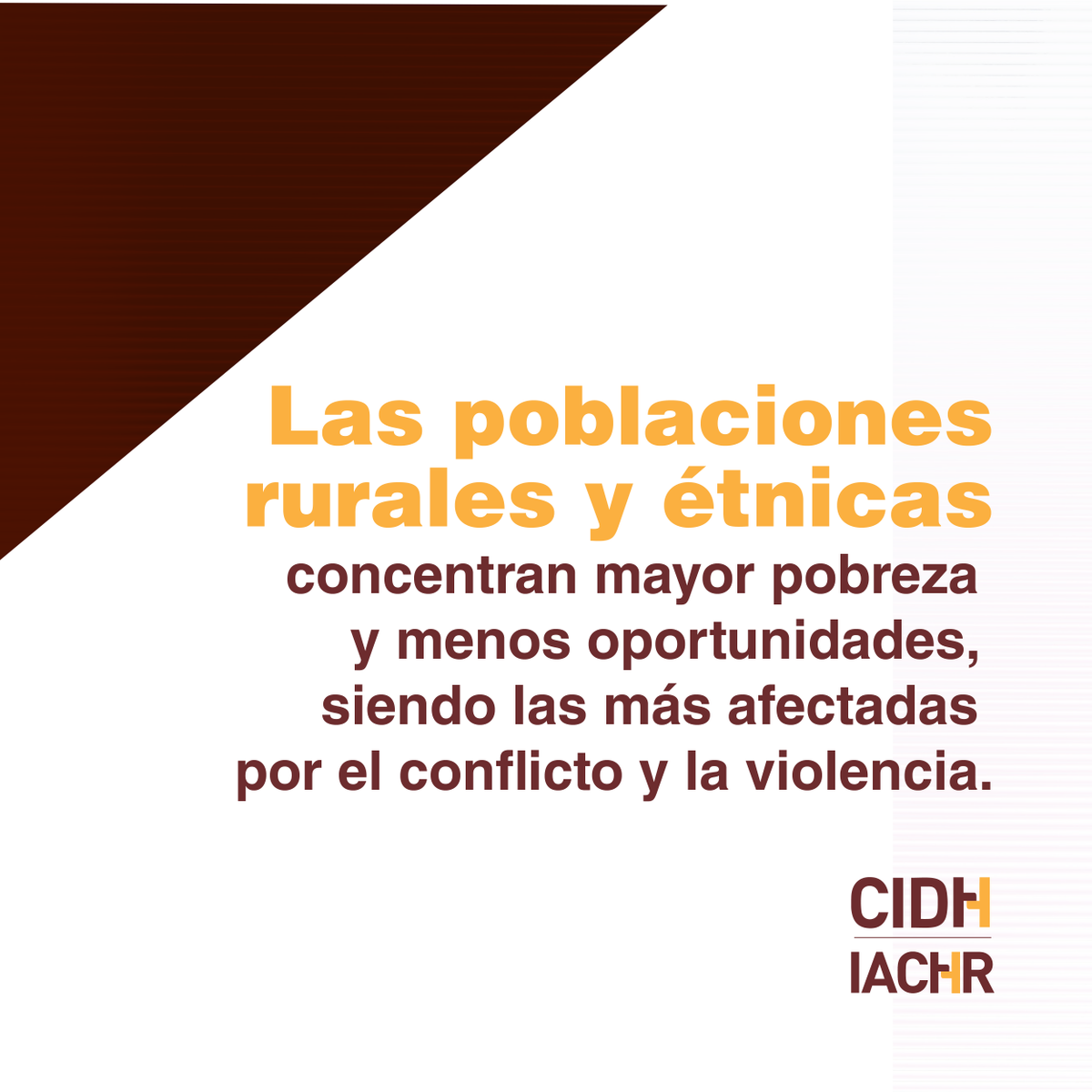 CIDH - IACHR tweet media