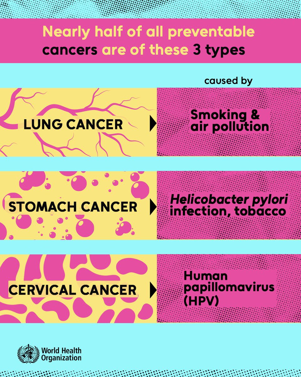 World Health Organization (WHO) tweet media