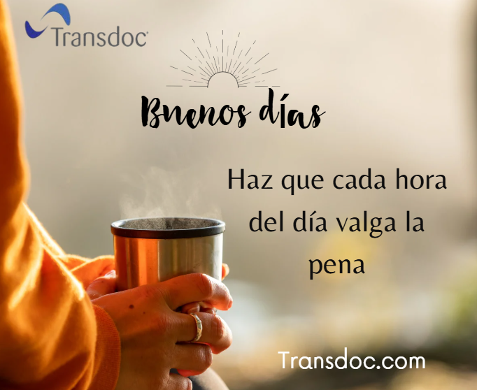 transdoctrabajos tweet media