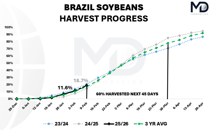 Pedro H Dejneka tweet media