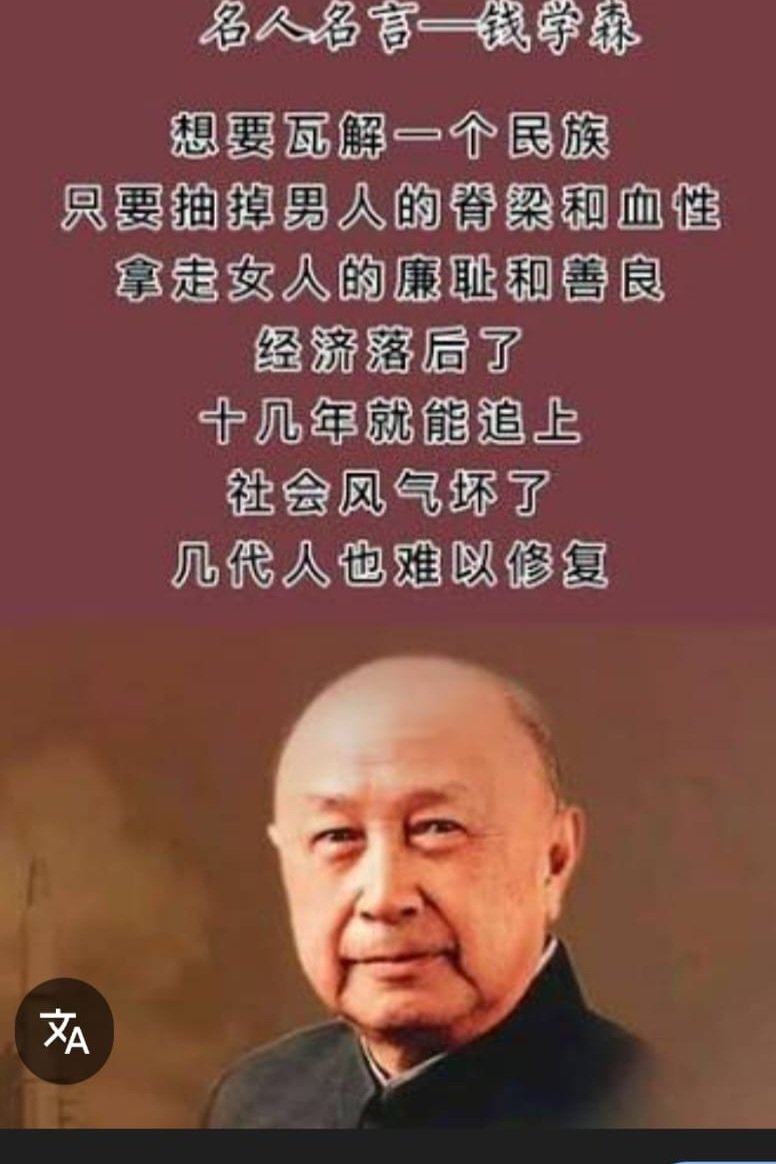 🕊️ Peace和平🪷~2 tweet media