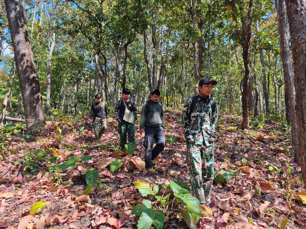 เซอร์ไพรส์กลางป่าแม่ฮ่องสอน! 🦊 ชุดลาดตระเวน Smart Patrol และทีมจัดการสัตว์ป่าฯ เก็บกล้อง Camera Trap พบ "สุนัขจิ้งจอก" ออกมาโชว์ตัวช่วงดึกบริเวณป่าปางมะผ้า ในเขตรักษาพันธุ์สัตว์ป่าสันปันแดน สะท้อนความสมบูรณ์ของพื้นที่ 🌿✨
​#สุนัขจิ้งจอก #สัตว์ป่าไทย #แม่ฮ่องสอน #SmartPatrol