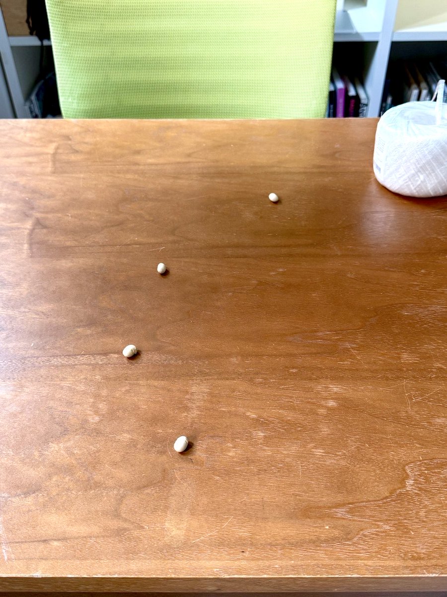 豆まきもちゃんとしました