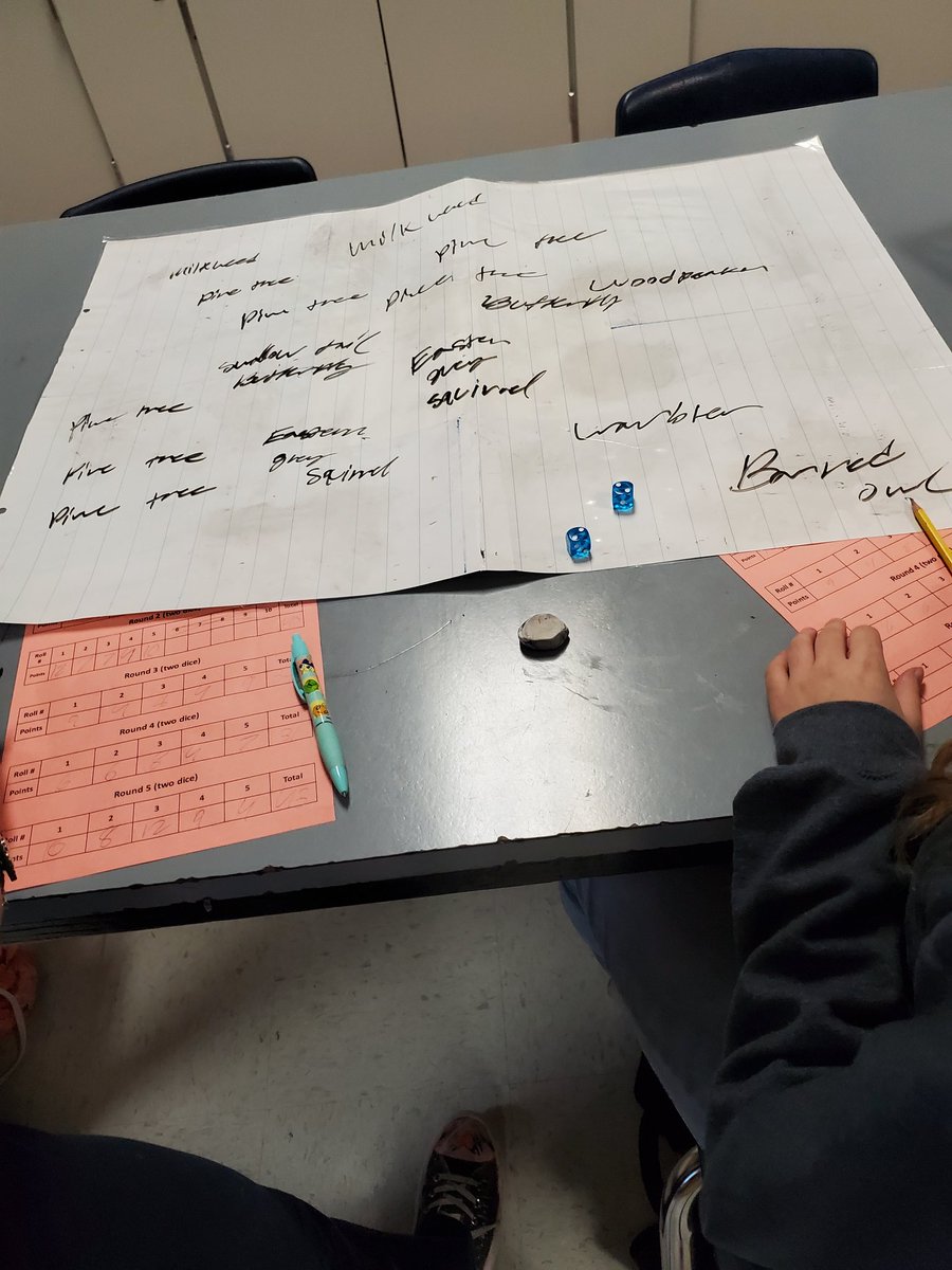 Lauren Mitchell tweet media