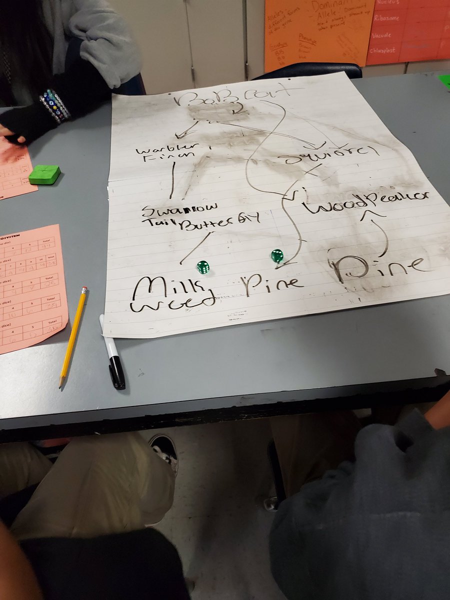 Lauren Mitchell tweet media