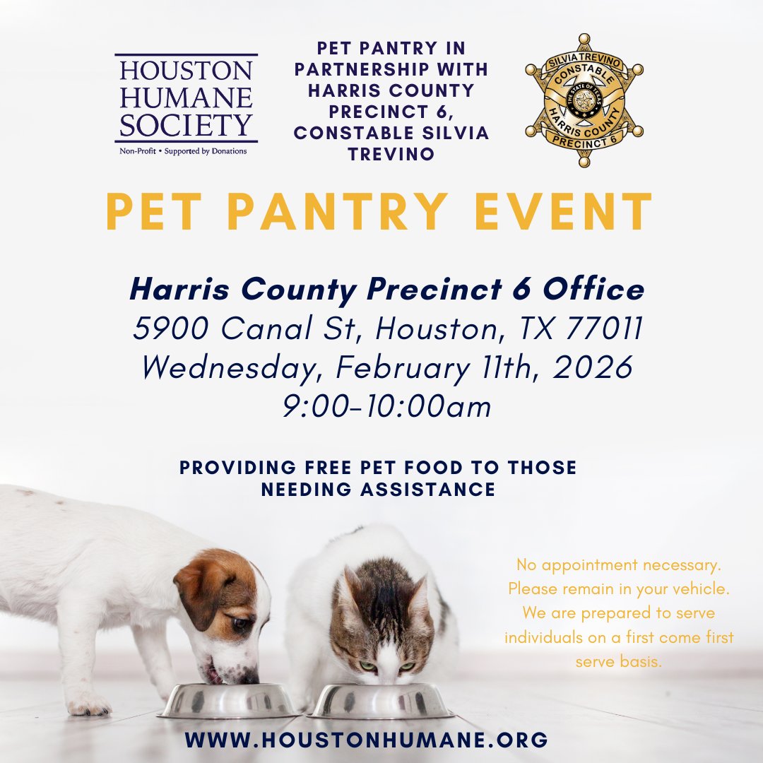 Silvia Trevino Pct 6 Constable tweet media