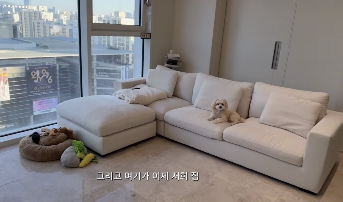 8_rivi's tweet image. ソロ地獄のアリンちゃんの一人暮らしの家、女の子の理想が詰まりすぎてる…🐩☁️💭