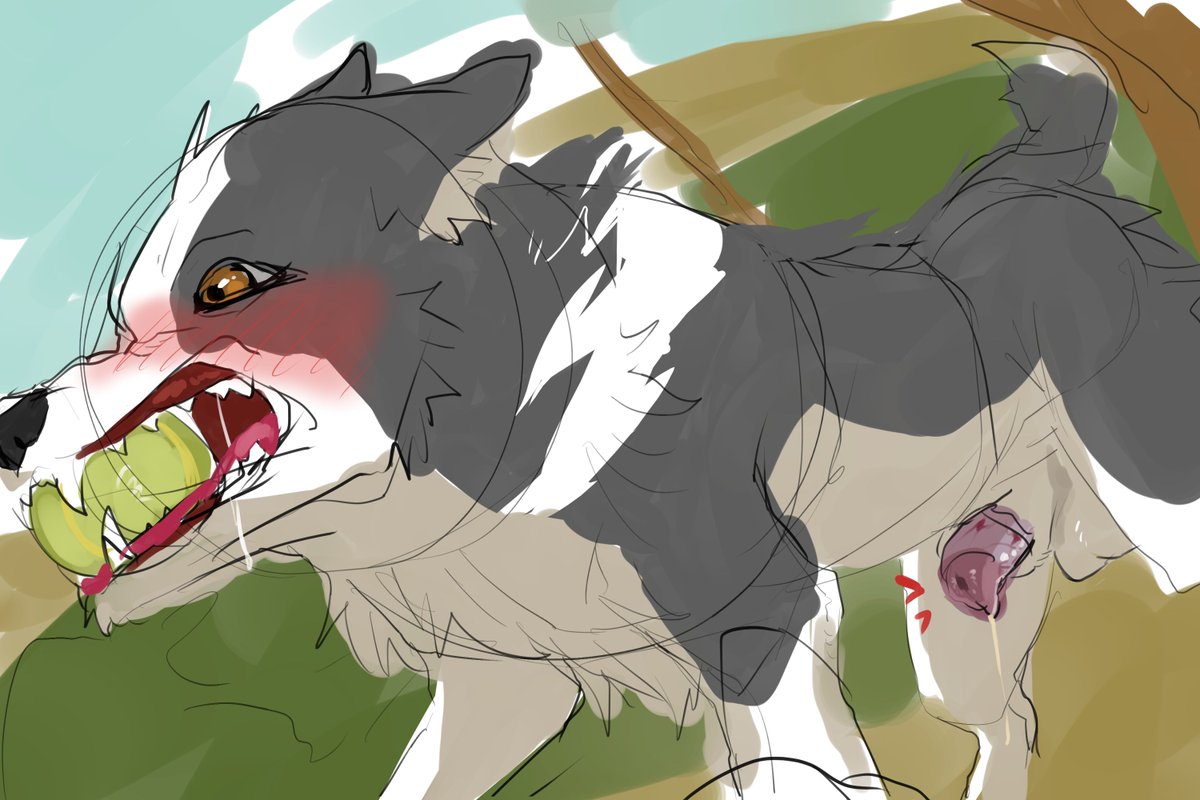 とらじろう🔞 tweet media