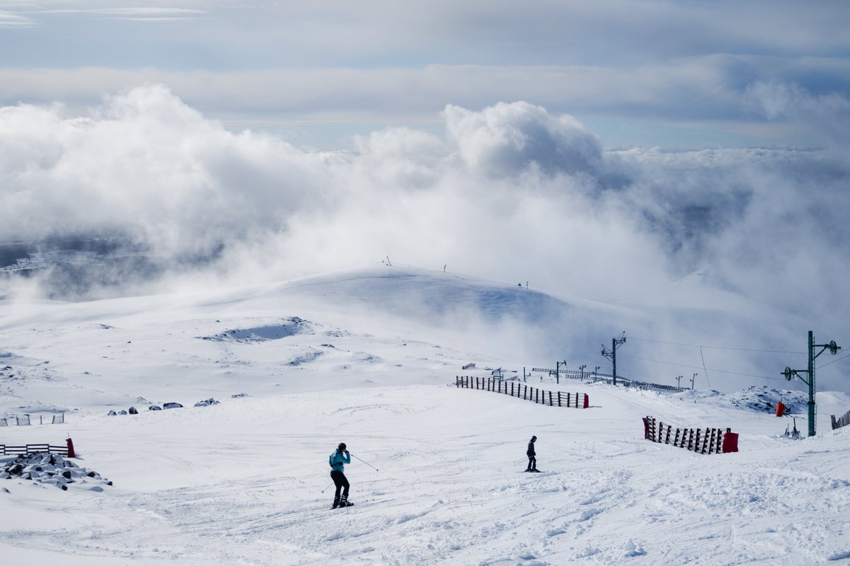 Massif du Sancy tweet media