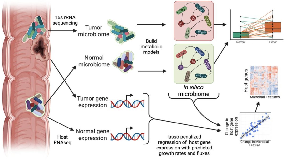 Ran Blekhman tweet media