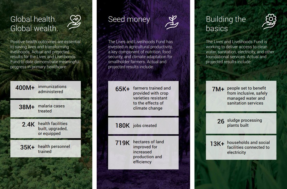 Lives and Livelihoods Fund (LLF) tweet media