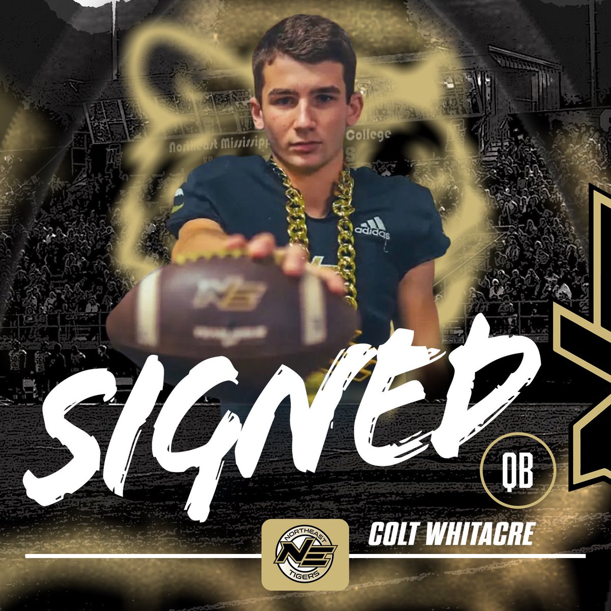 Northeast Tigers tweet media